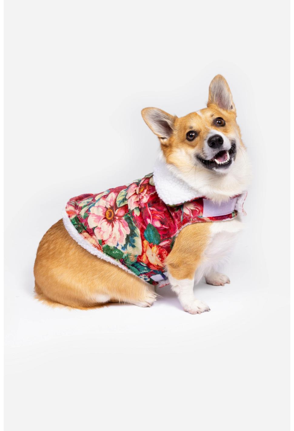 Women Pet Accessories | Johnny Was Bethia Sherpa Pet Jacket Bethia