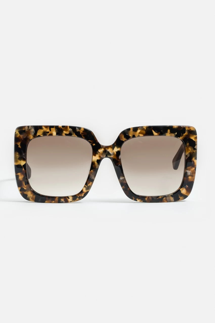 Sutton Sunglasses Tortoise