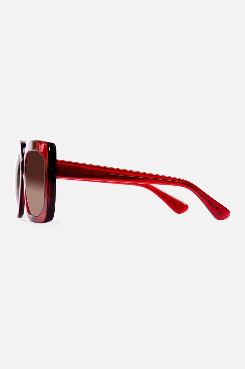 Sutton Sunglasses Solid