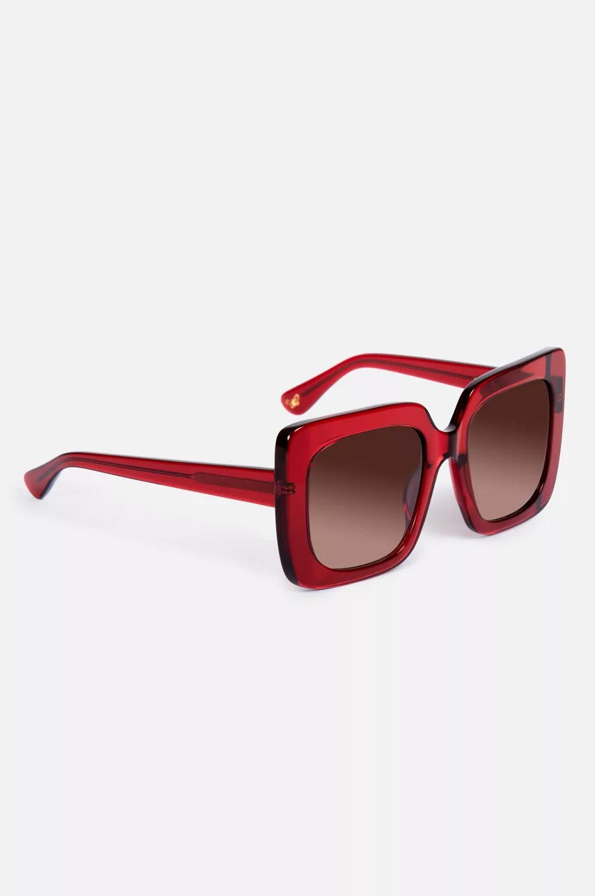 Sutton Sunglasses Solid