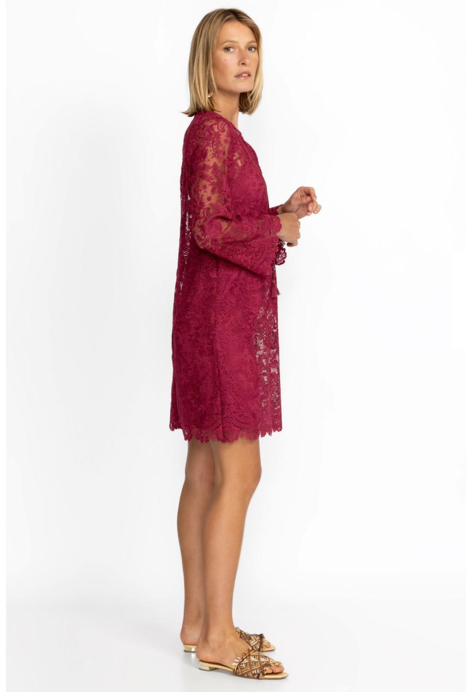 Women Dresses | Johnny Was Harper Recycled Lace Mini Dress Smokey Rose