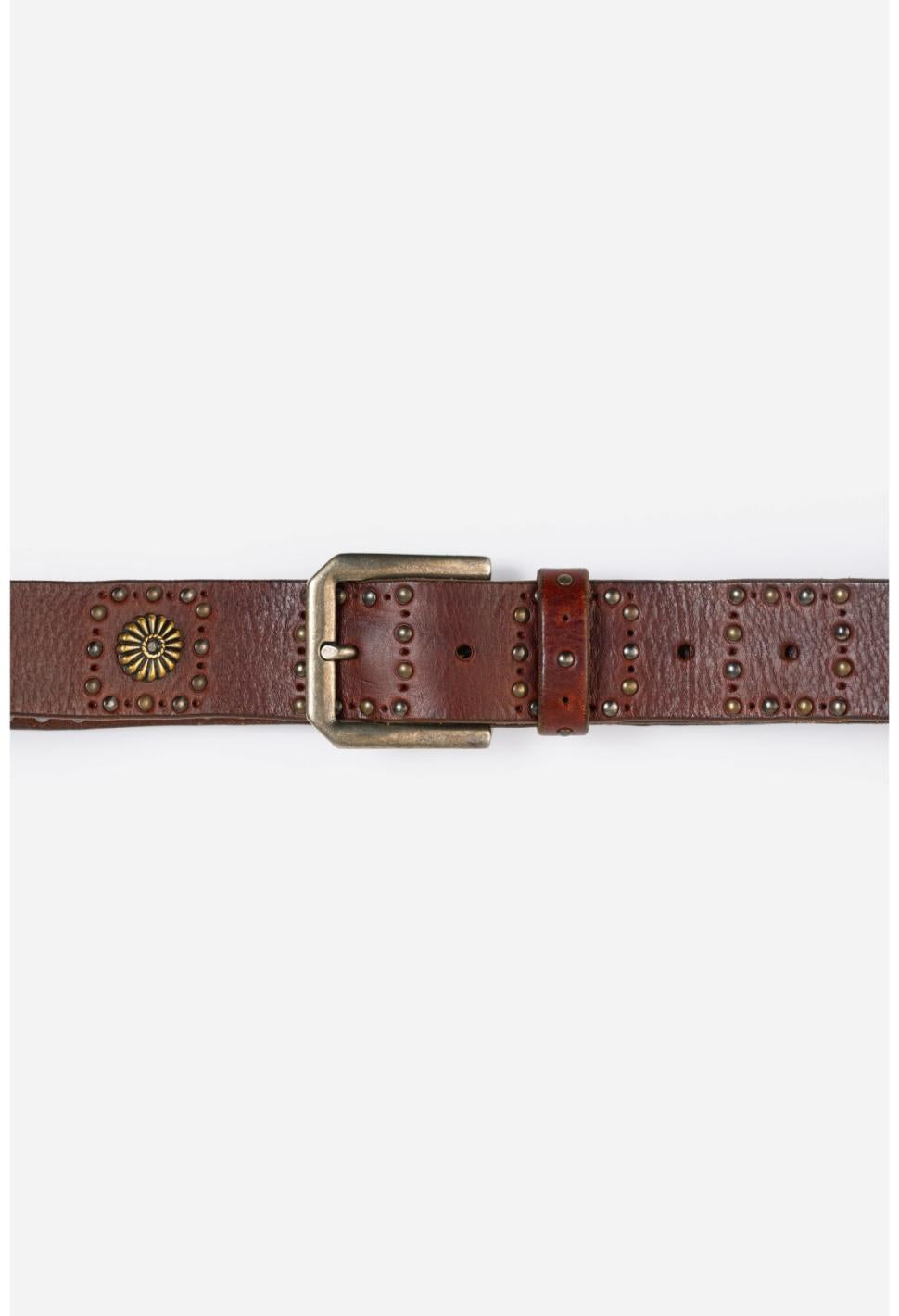 Women Fashion Accessories | Johnny Was Moneta Italian Leather Belt Brown