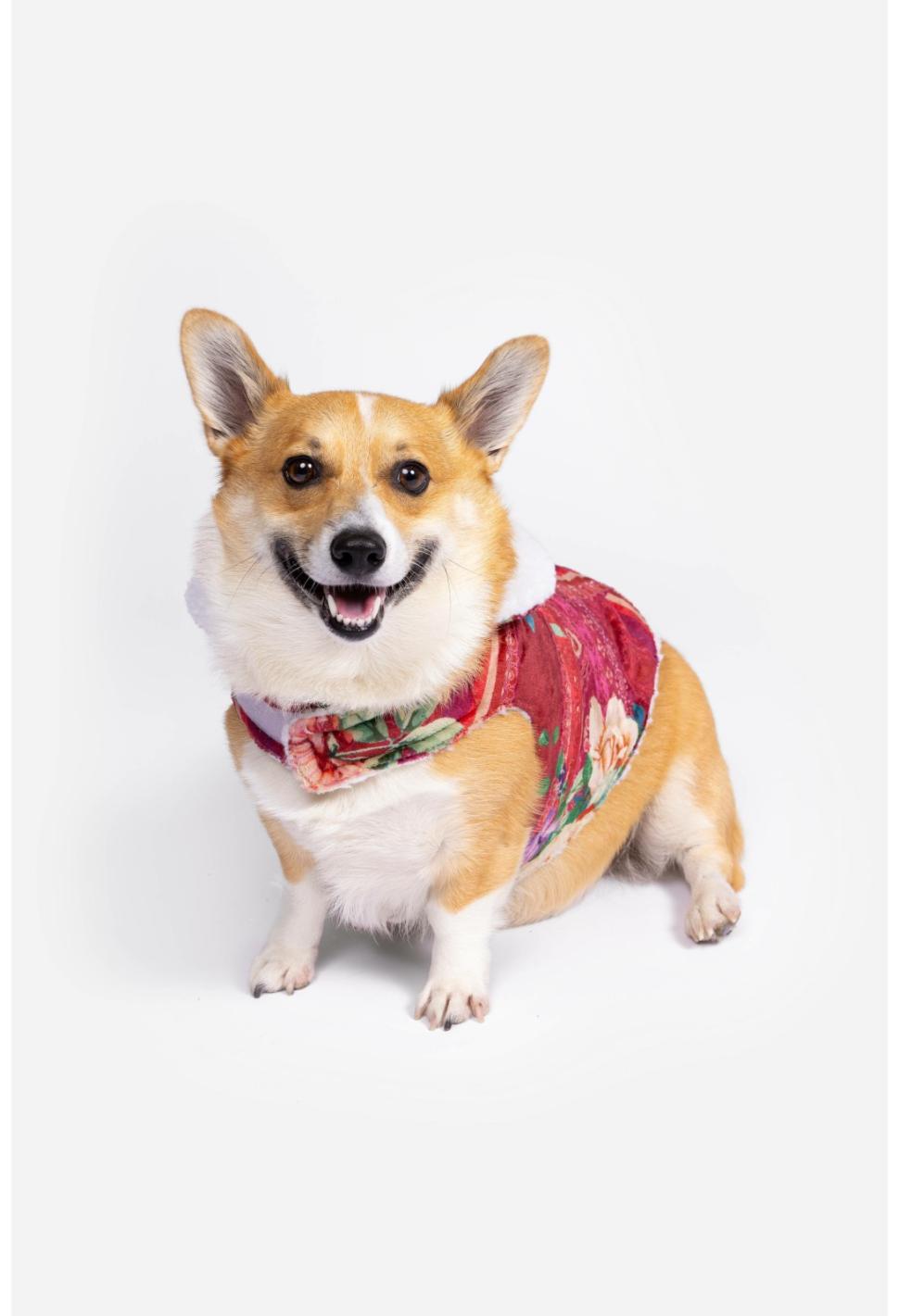 Women Pet Accessories | Johnny Was Bethia Sherpa Pet Jacket Bethia