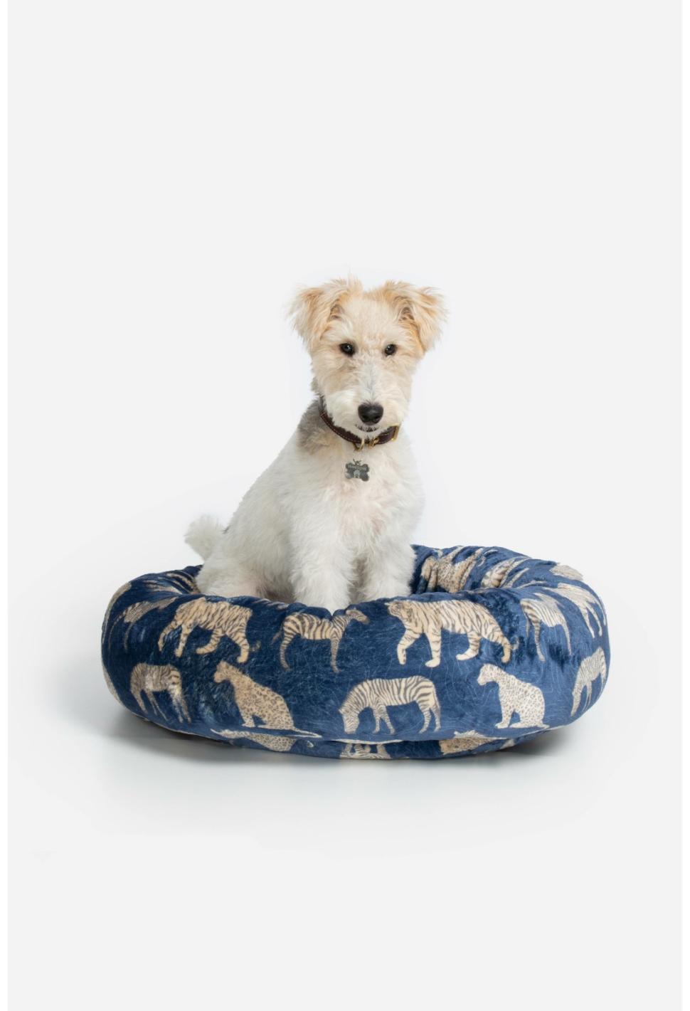 Women Pet Accessories | Johnny Was Blue Tiger Small Dog Bed Blue Tiger