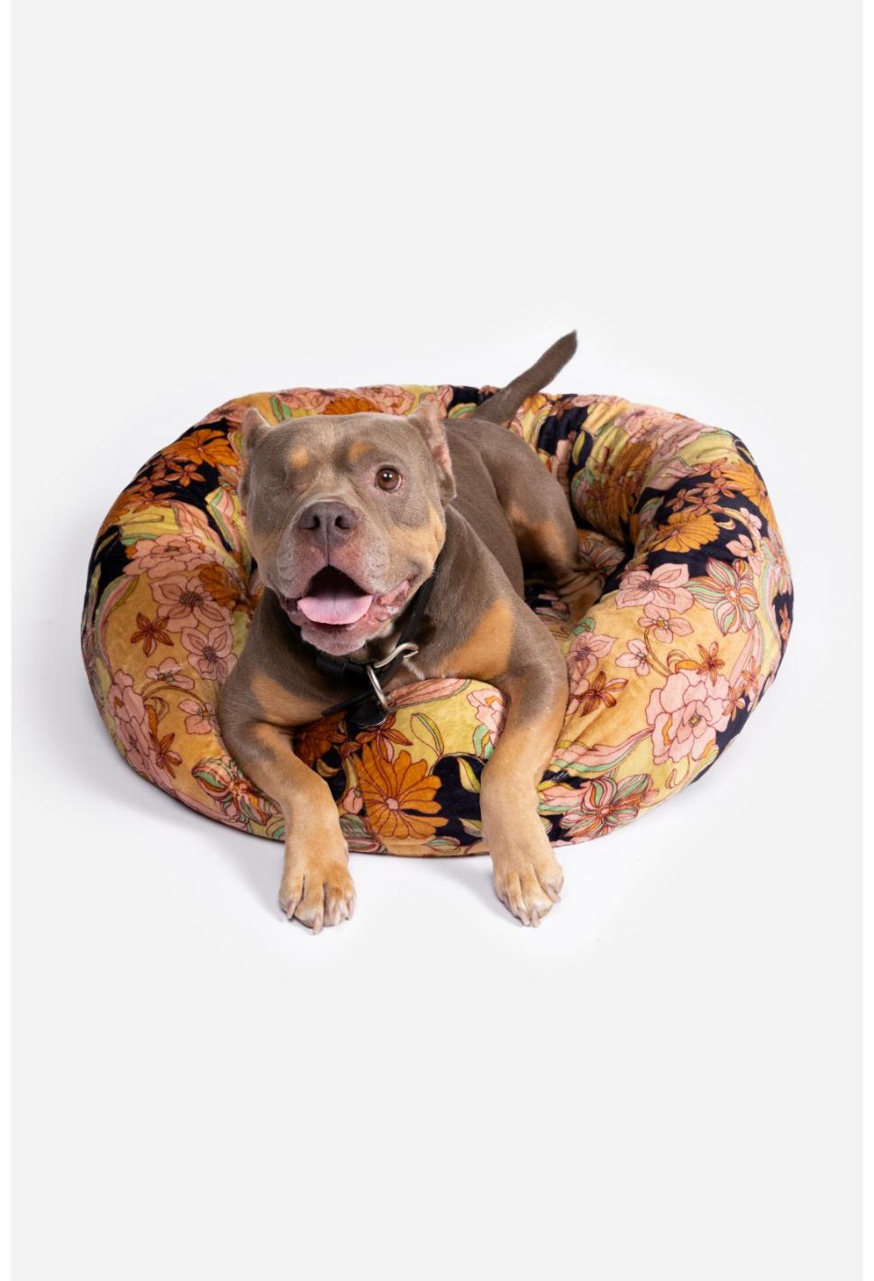 Women Pet Accessories | Johnny Was Wonder Years Large Dog Bed Wonderyears