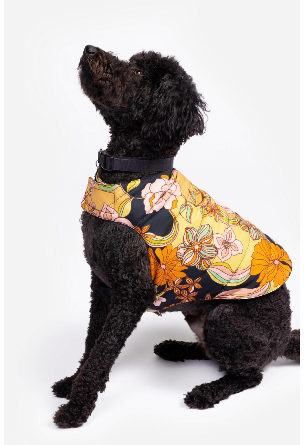 Women Pet Accessories | Johnny Was Wonder Years Nylon Puffer Jacket Wonder Years