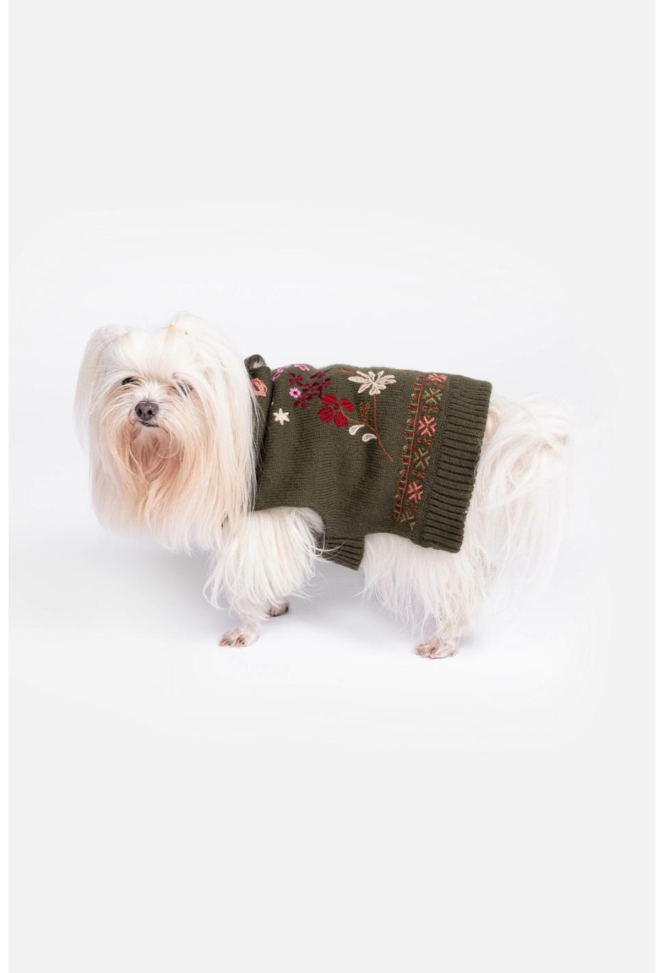 Women Pet Accessories | Johnny Was Zuzu Embroidered Dog Sweater Black